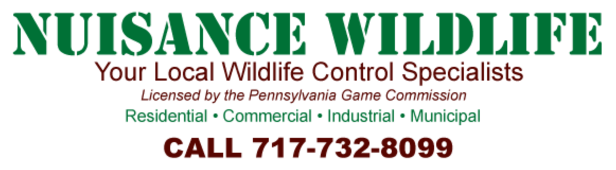 Nuisance Wildlife Logo